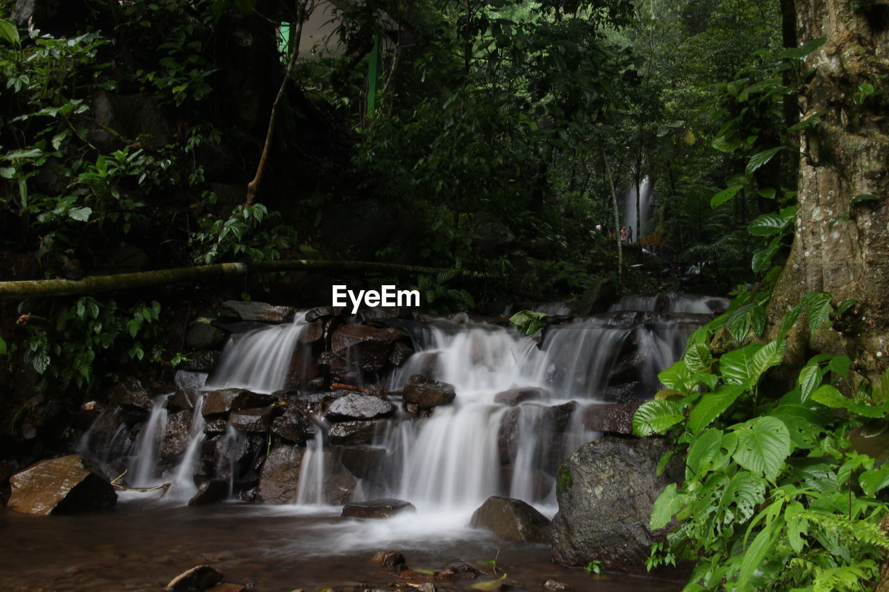 Waterfall in forest