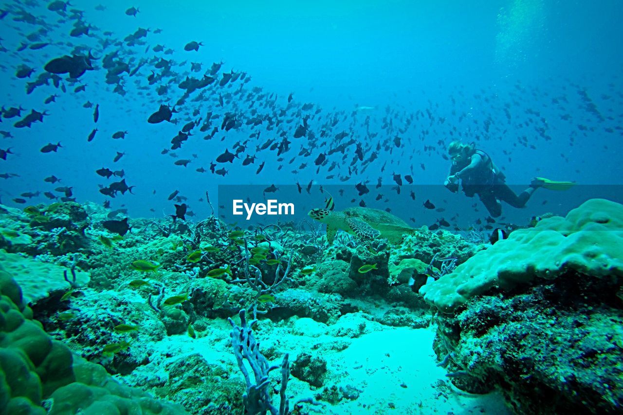 Person scuba diving in sea