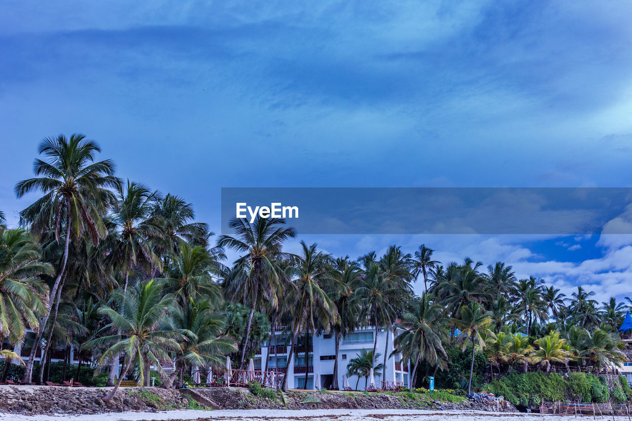 tropical climate, palm tree, tree, sky, sea, plant, beach, nature, cloud, water, land, coconut palm tree, travel destinations, beauty in nature, environment, coast, vacation, ocean, scenics - nature, travel, architecture, holiday, tranquility, trip, landscape, no people, tropical tree, tourism, shore, island, outdoors, tropics, blue, tourist resort, bay, idyllic, hut, tranquil scene, day, house, built structure, building, resort, sand, body of water, building exterior
