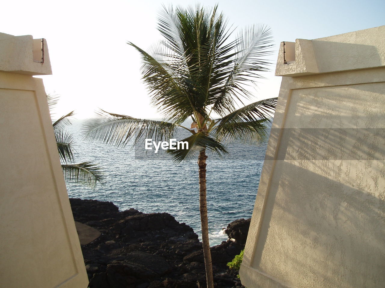 PALM TREES ON BEACH AGAINST SKY