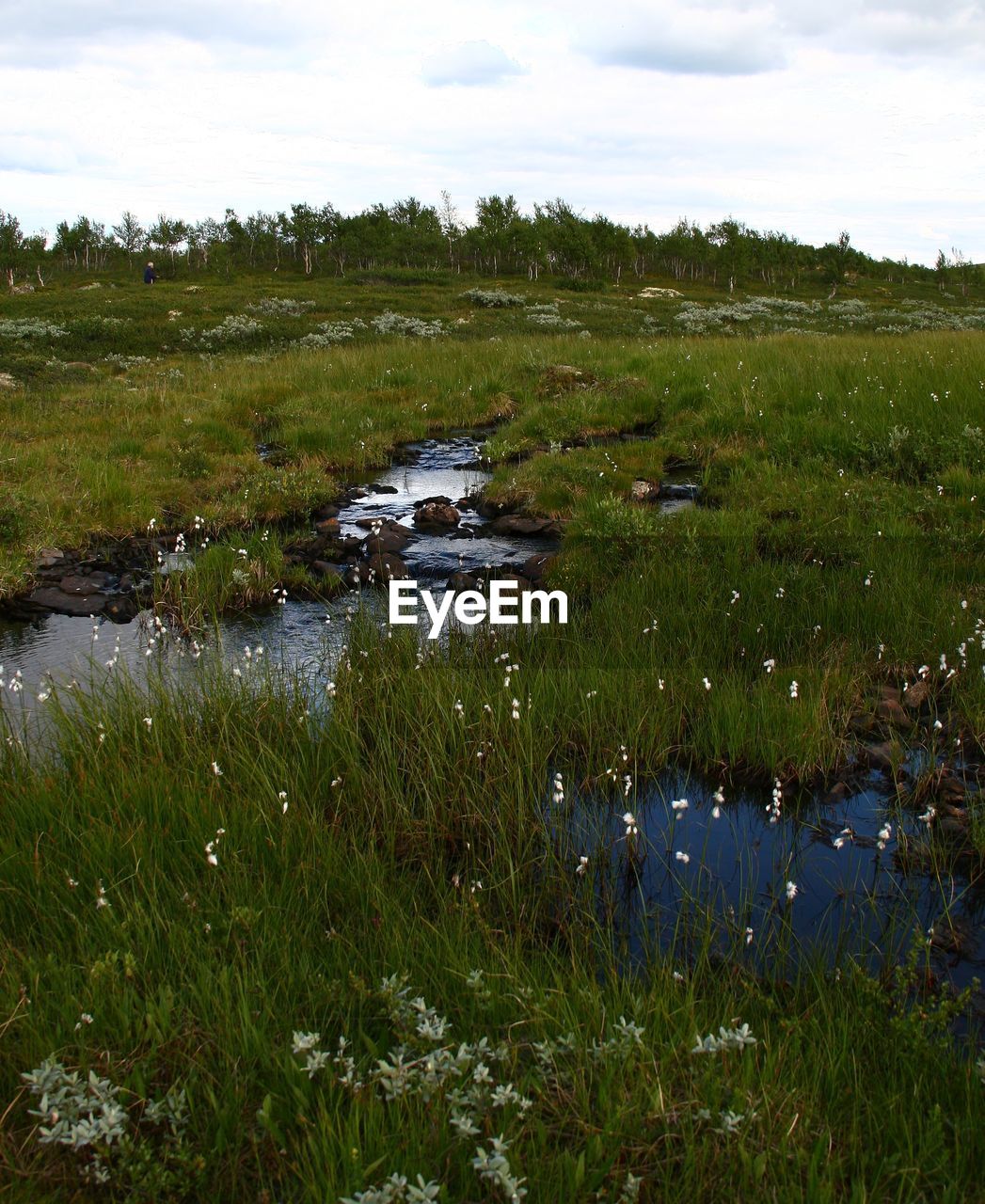 SCENIC VIEW OF RIVER AMIDST FIELD