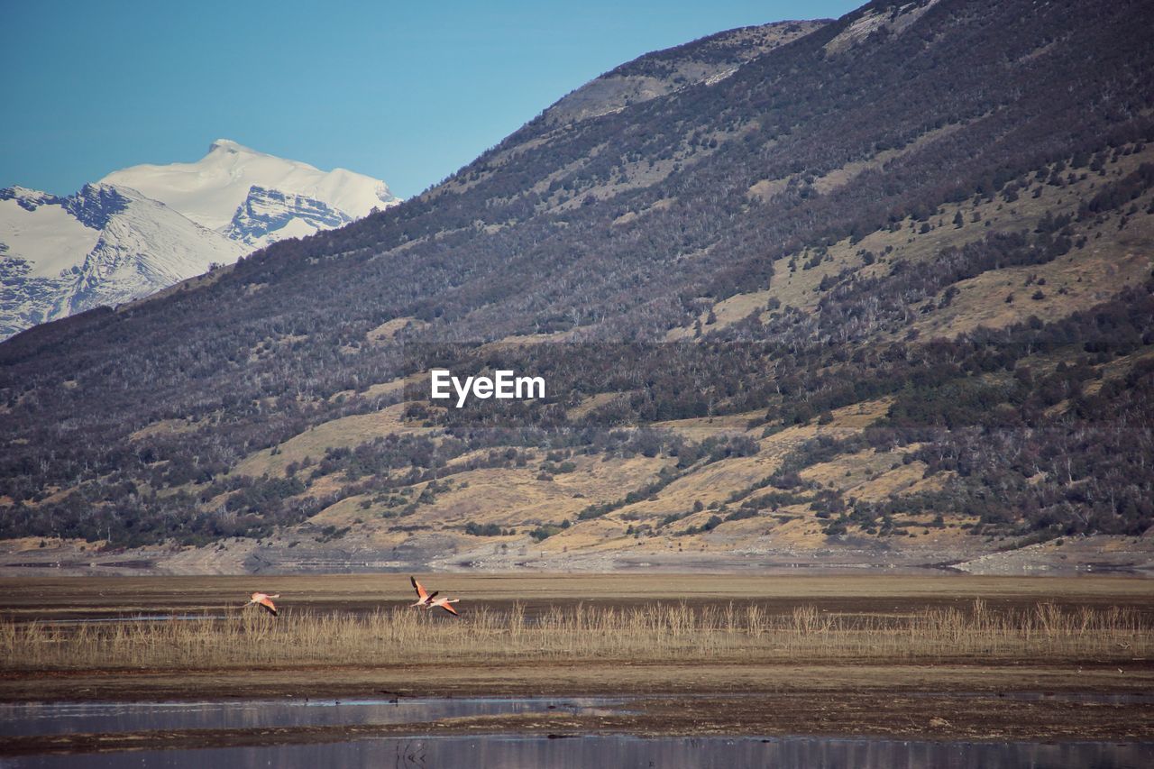 Scenic view of snowcapped mountains