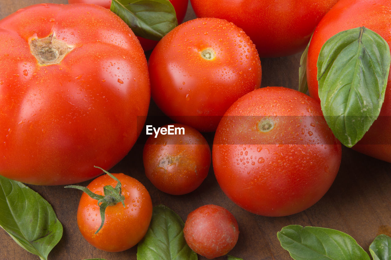 HIGH ANGLE VIEW OF TOMATOES IN PLATE ON TABLE