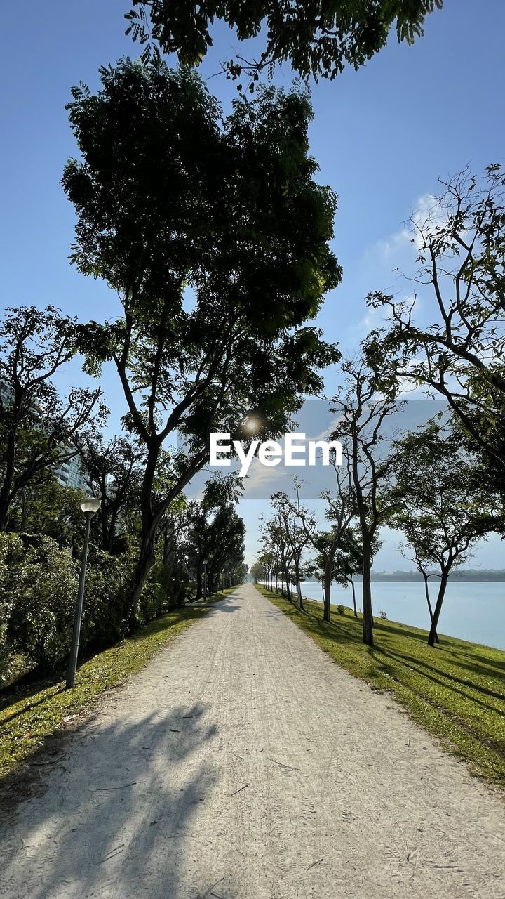 EMPTY ROAD AMIDST TREES ON FIELD