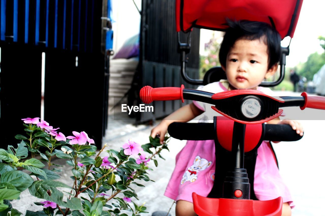 childhood, child, one person, portrait, plant, nature, happiness, flower, flowering plant, men, looking at camera, smiling, land vehicle, cute, vehicle, red, toddler, emotion, transportation, person, outdoors, mode of transportation, black hair, baby, holding, front view, lifestyles, clothing, innocence, cheerful, day