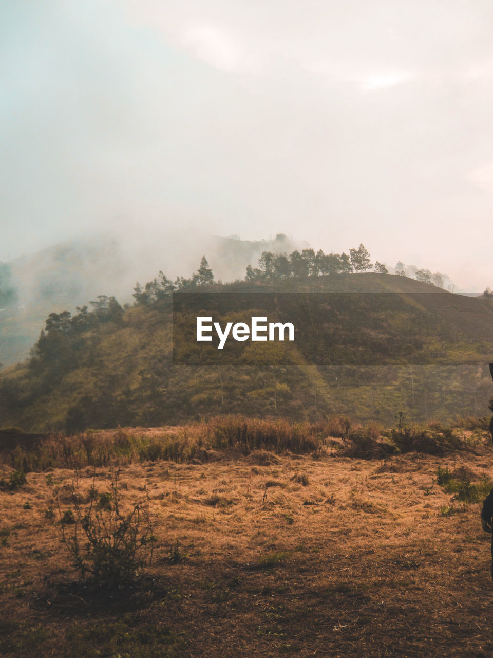 SCENIC VIEW OF LANDSCAPE AND MOUNTAINS AGAINST SKY