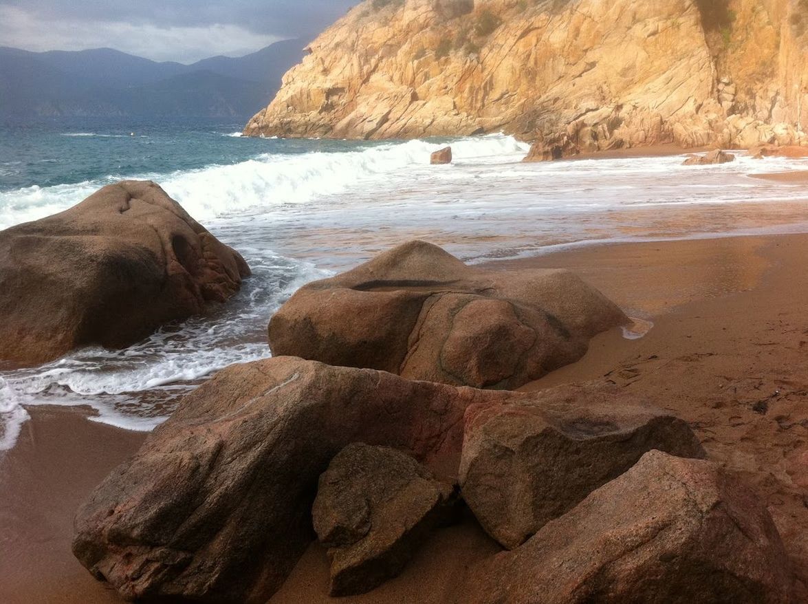 Scenic view of beach