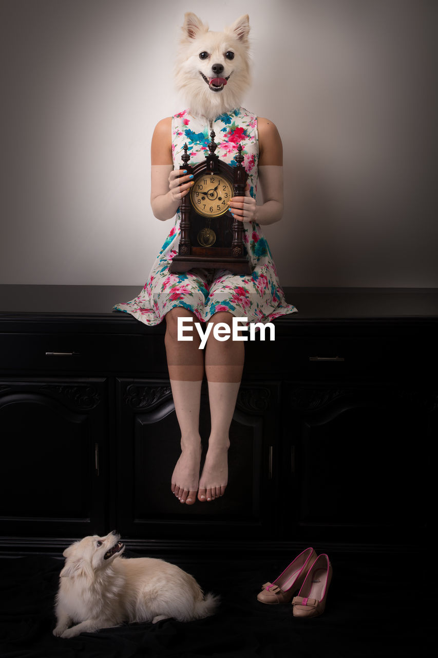 Digital composite image of woman with dog face holding clock while sitting on cabinet against wall