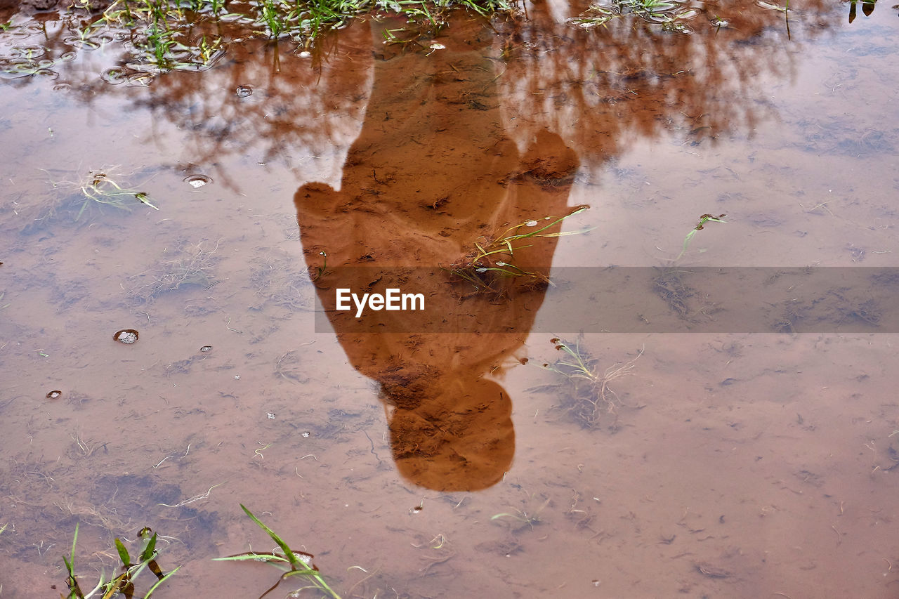 HIGH ANGLE VIEW OF WET PUDDLE ON MUD