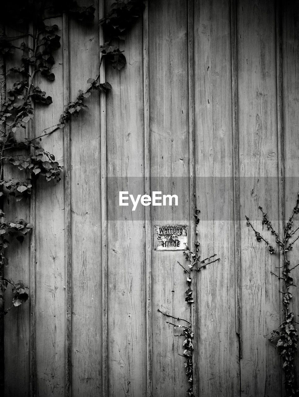 wood, entrance, door, black, black and white, monochrome, darkness, no people, white, monochrome photography, closed, old, wall, security, day, protection, weathered, text, built structure, architecture, house, outdoors, communication, close-up, wall - building feature