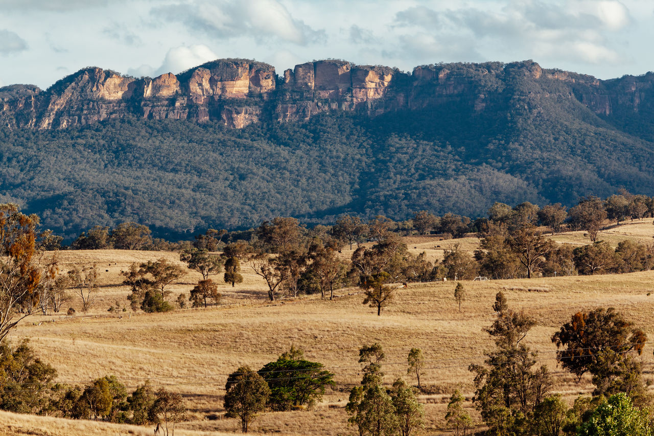 Scenic view of landscape and mountains against sky