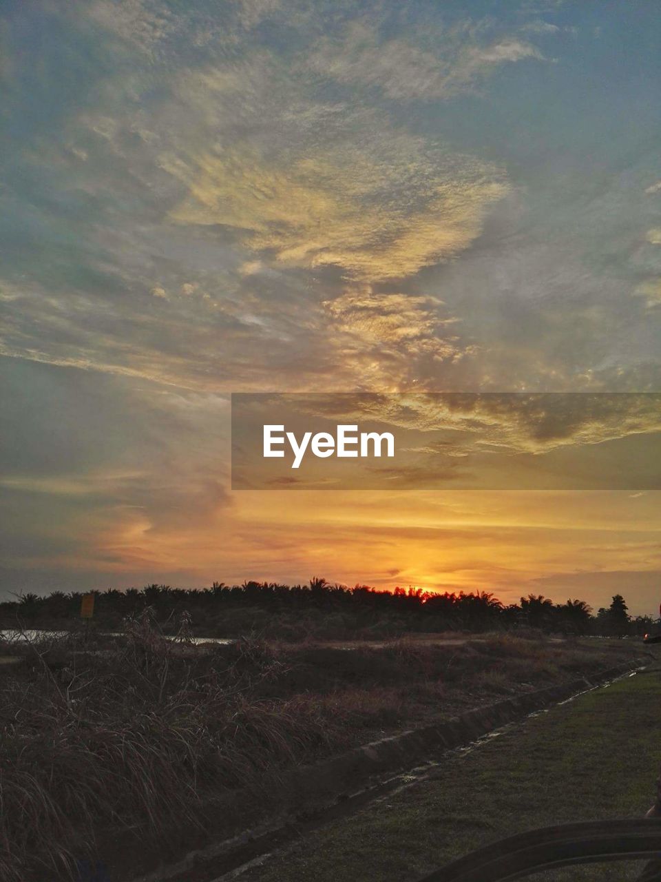 SCENIC VIEW OF AGRICULTURAL FIELD AGAINST SKY AT SUNSET
