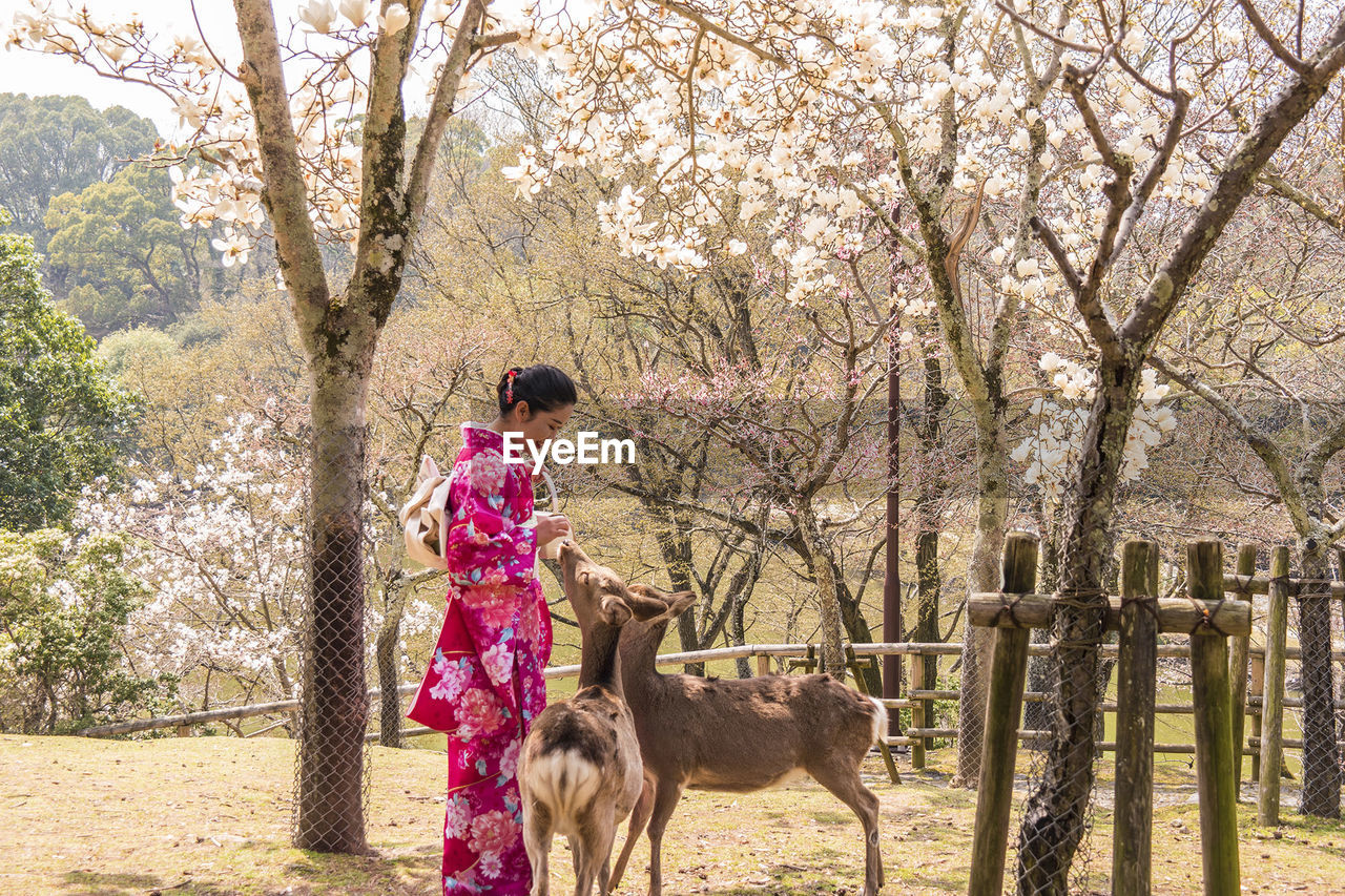 FULL LENGTH OF WOMAN STANDING BY TREES