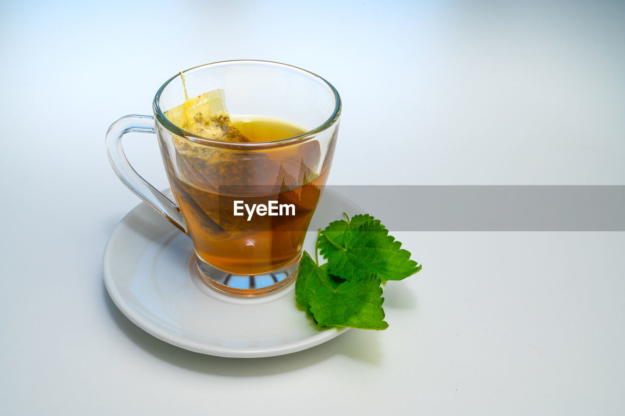 Nettle infusion in transparent cup, a sachet in water, a white saucer  and nettle leaves. 