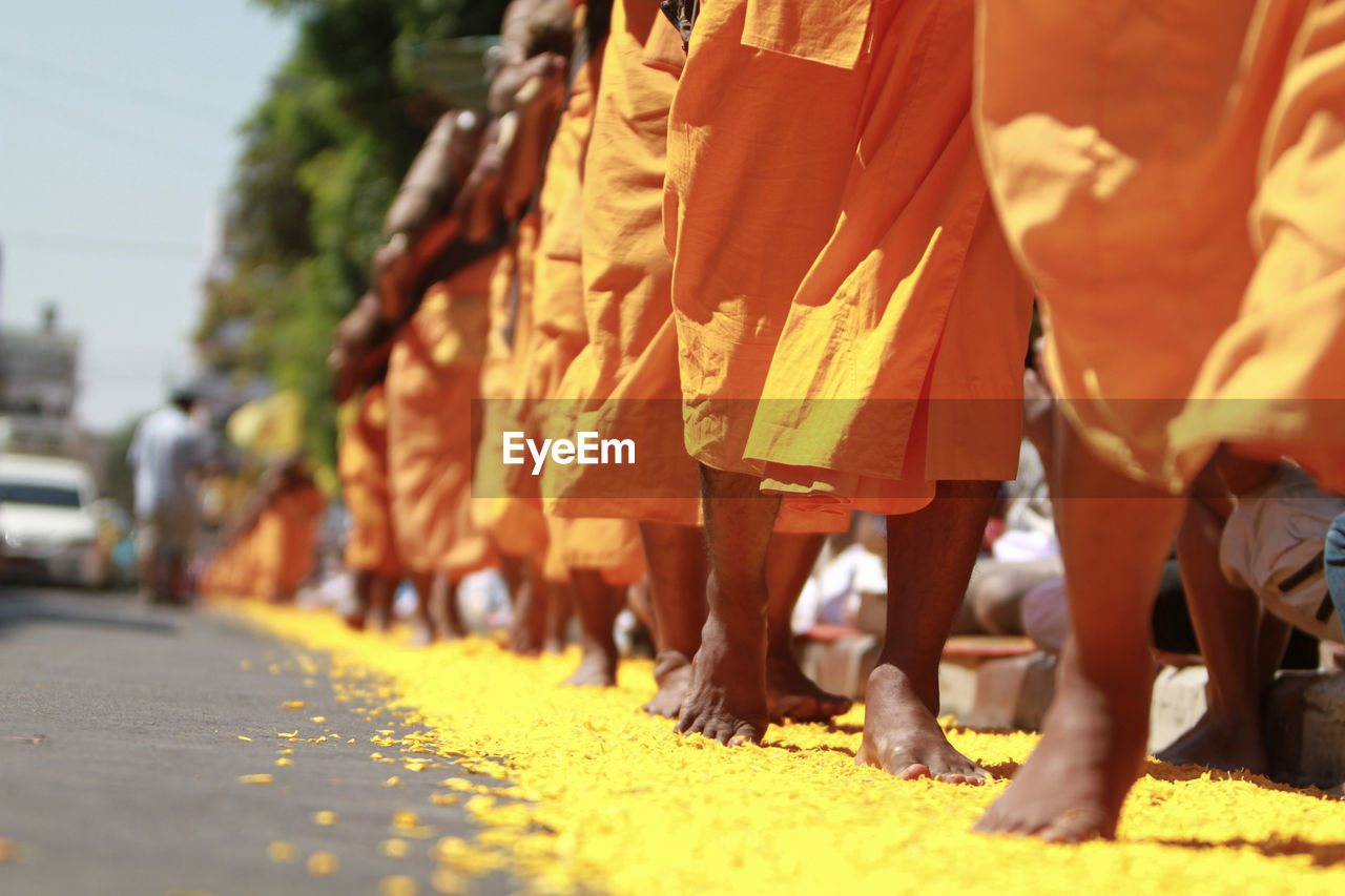 Low section of people walking on flowers in city