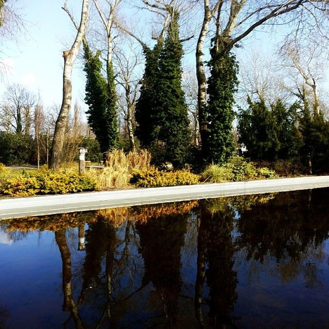 SCENIC VIEW OF CALM LAKE