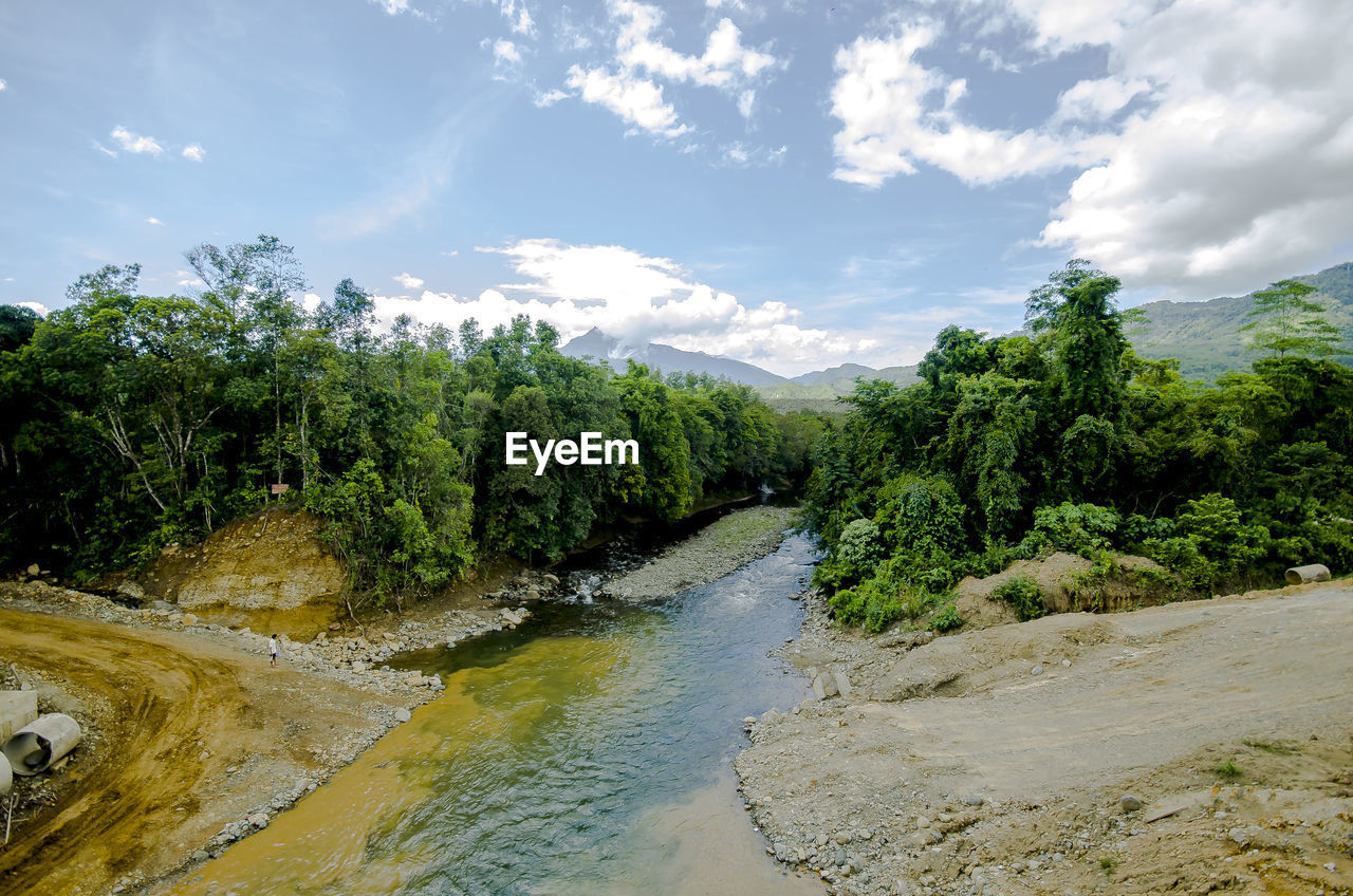 Scenic view of river amidst trees against sky