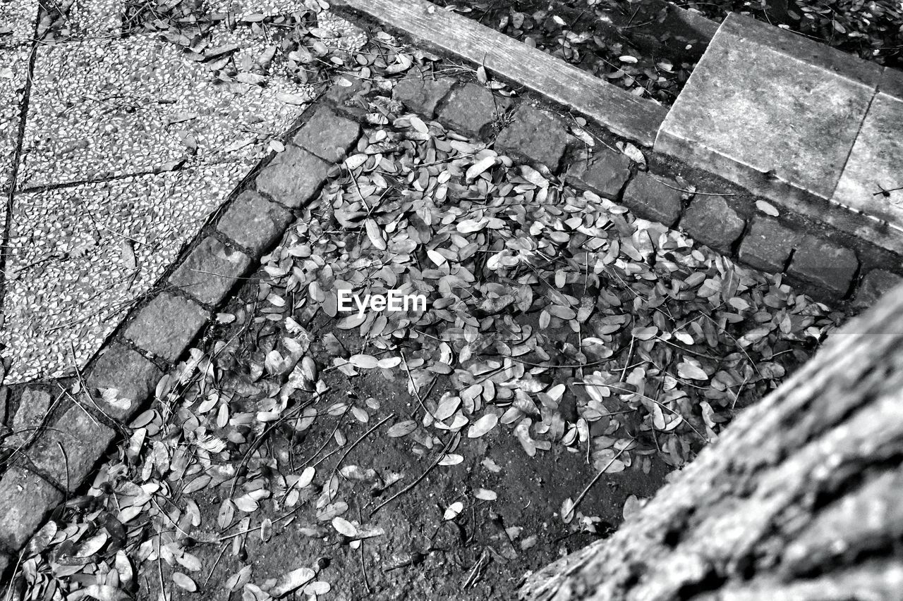 HIGH ANGLE VIEW OF COBBLESTONE STREET