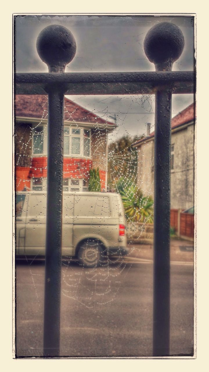 Spider web on metal fence and street view behind