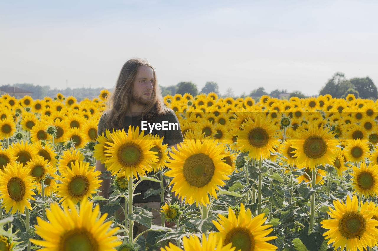 Close-up of man in sunflower field