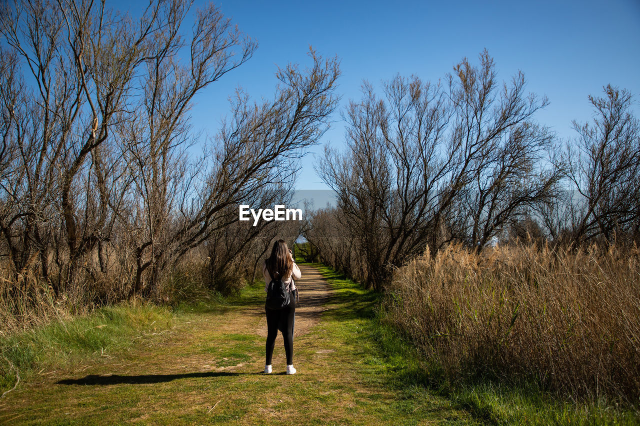 Beautiful woman taking a picture of a dry trees forest back shot person