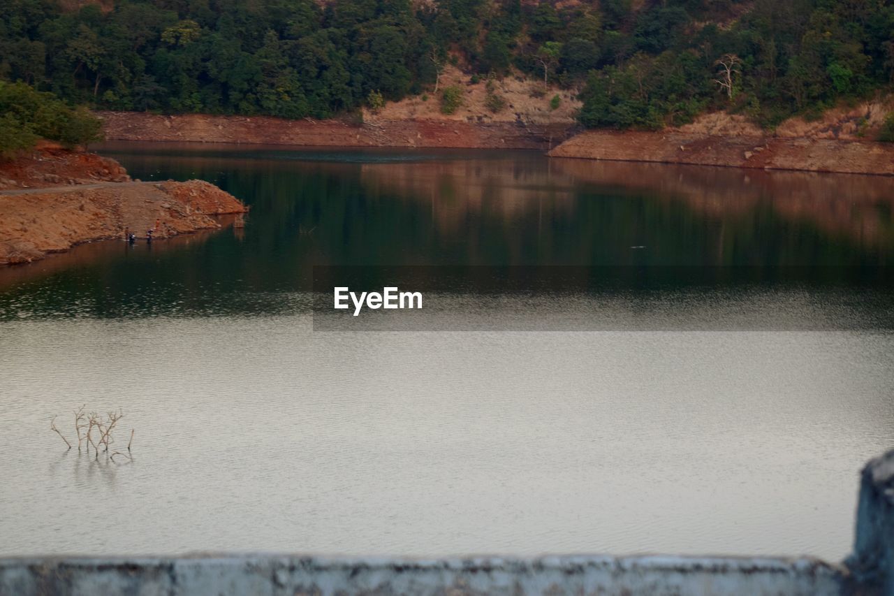 VIEW OF LAKE IN FOREST