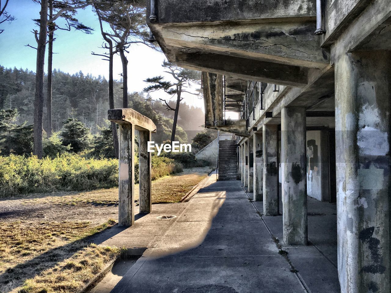 Abandoned building by trees against sky