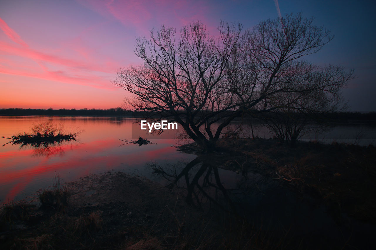 Silhouette tree by lake against sky during sunset