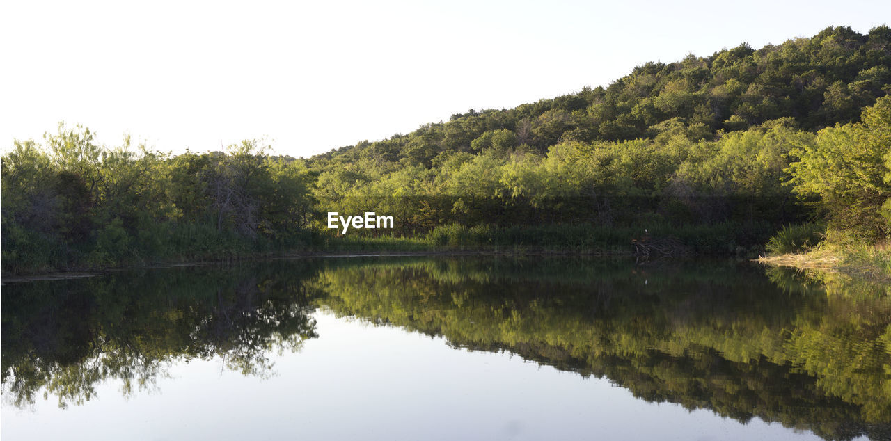 Reflection of trees in lake against clear sky