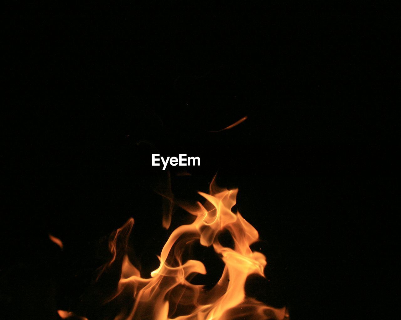 Close-up of fire at night