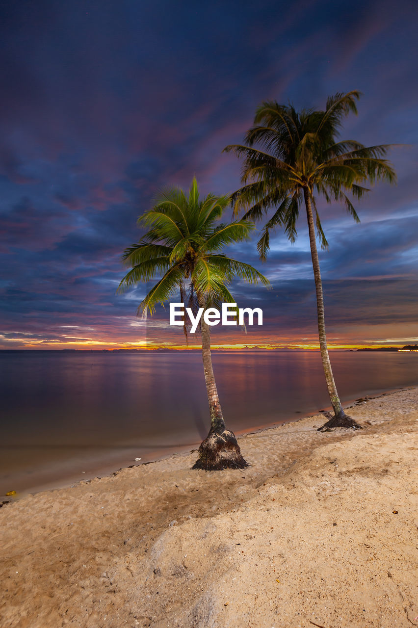 palm tree, tropical climate, sky, beach, water, land, tree, sea, nature, plant, beauty in nature, coconut palm tree, ocean, cloud, scenics - nature, sand, tranquility, sunset, coast, shore, tranquil scene, body of water, environment, travel destinations, horizon, tropical tree, tropics, outdoors, landscape, no people, island, travel, idyllic, vacation, trip, holiday, sunlight, horizon over water, dusk, coastline, seascape, tourism