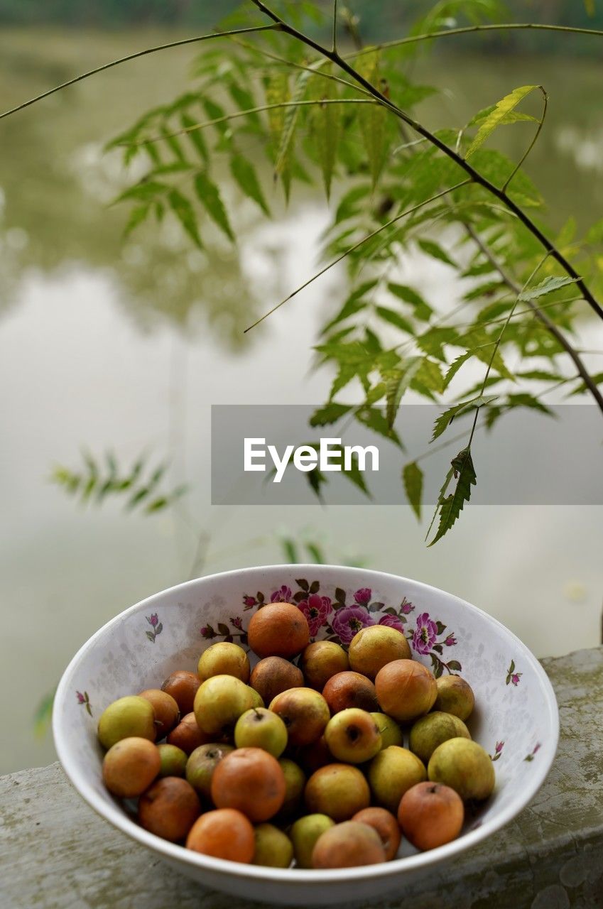 Close-up of fruits in bowl