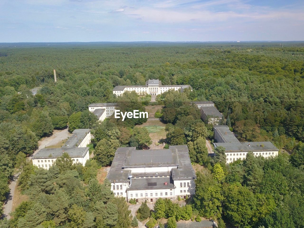 HIGH ANGLE VIEW OF TREES ON LANDSCAPE