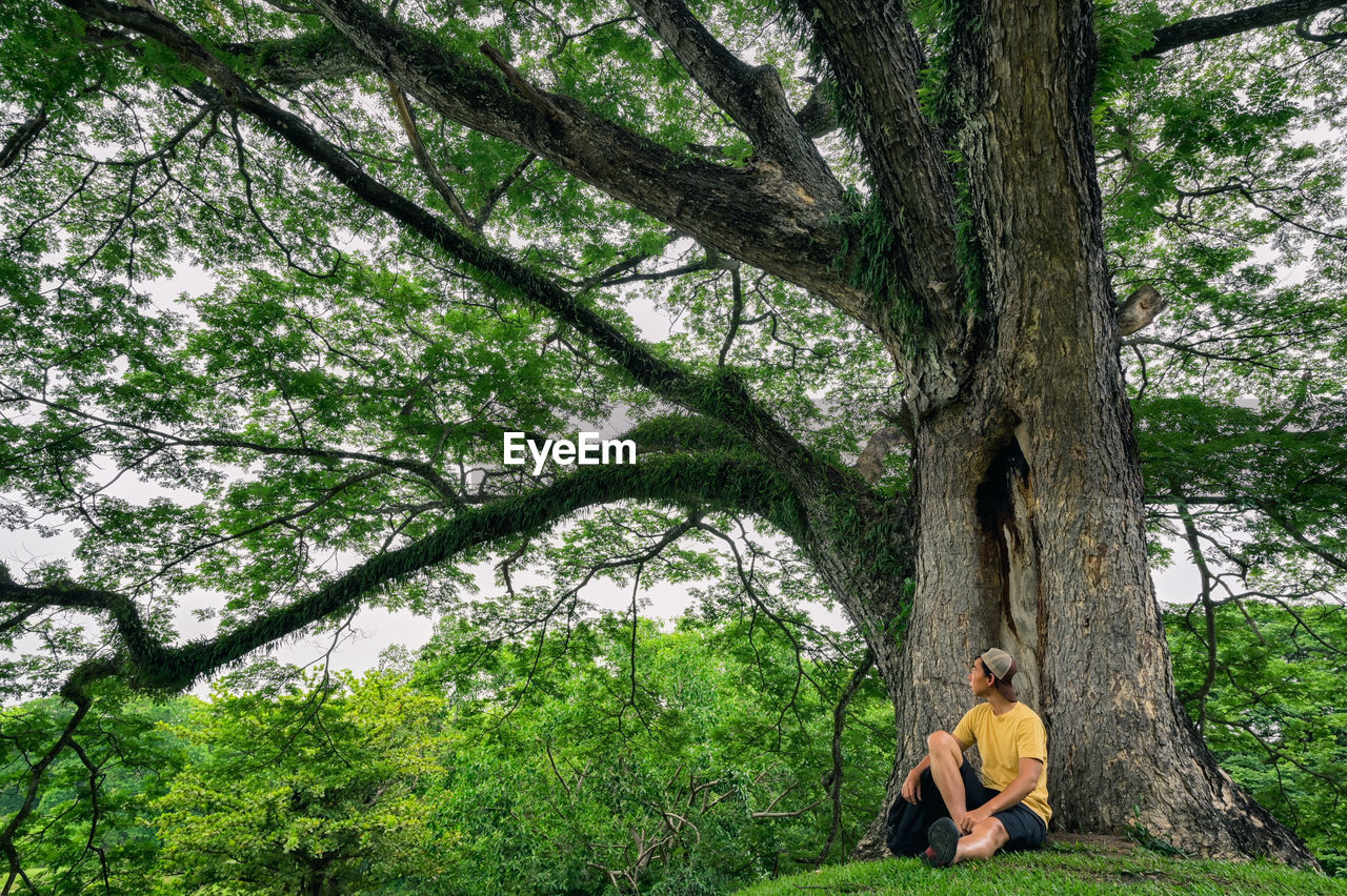 Young man sitting under the tree , inspiraton , motivation , freedom and recreation concept