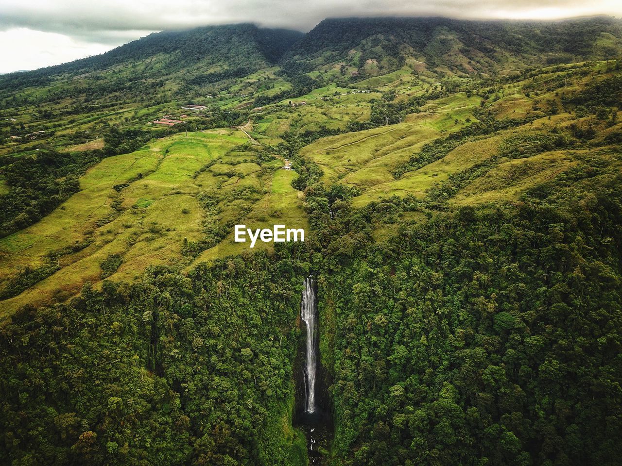 HIGH ANGLE VIEW OF GREEN FIELD