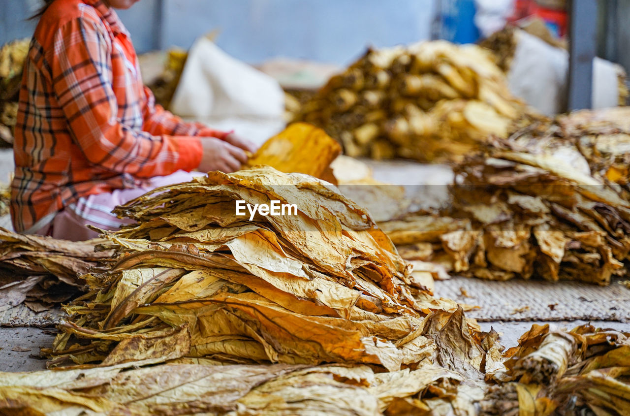 CLOSE-UP OF DRY LEAVES FOR SALE