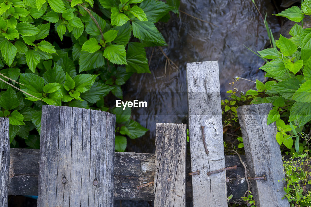 CLOSE-UP OF WOODEN FENCE BY TREE