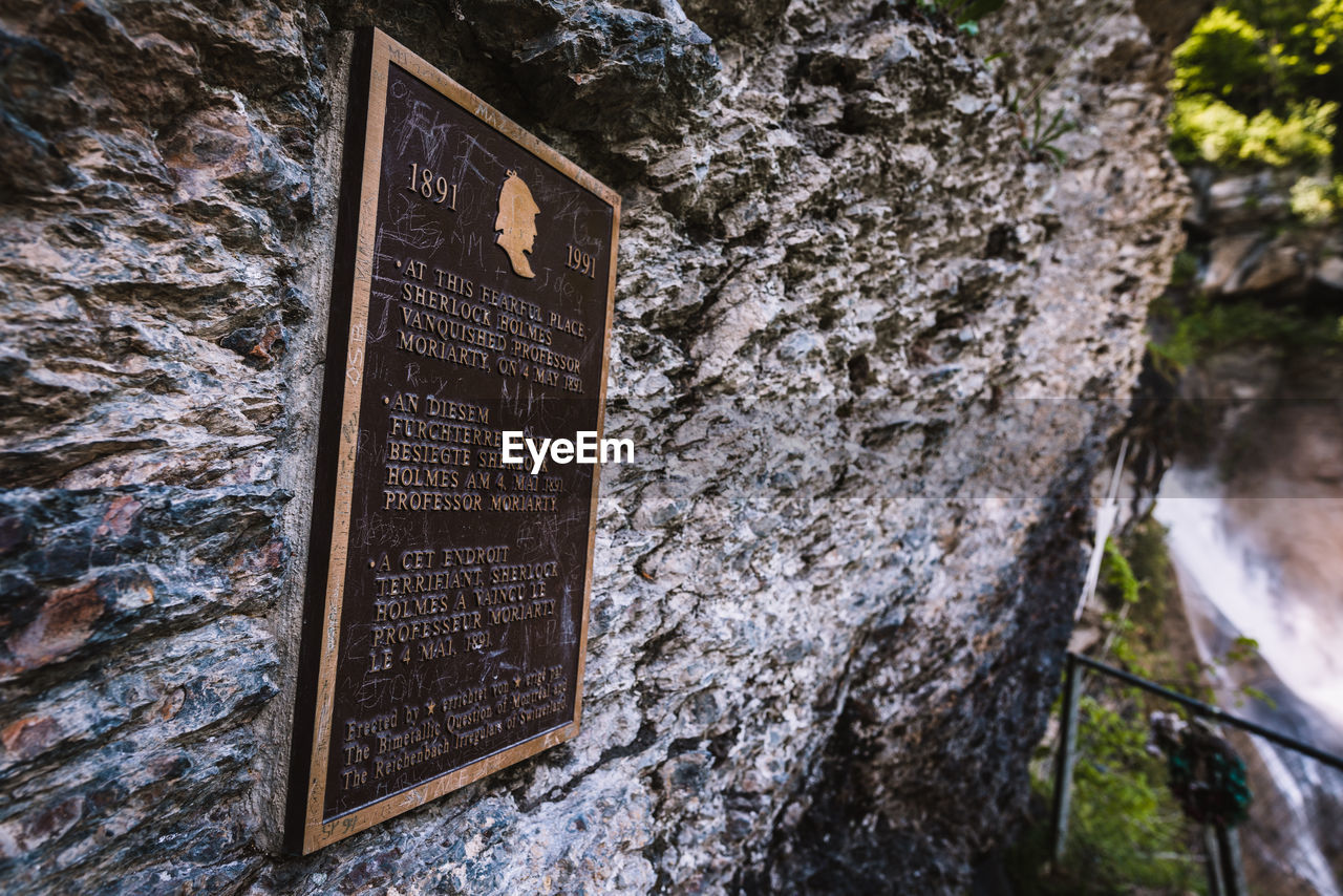 LOW ANGLE VIEW OF SIGN ON TREE