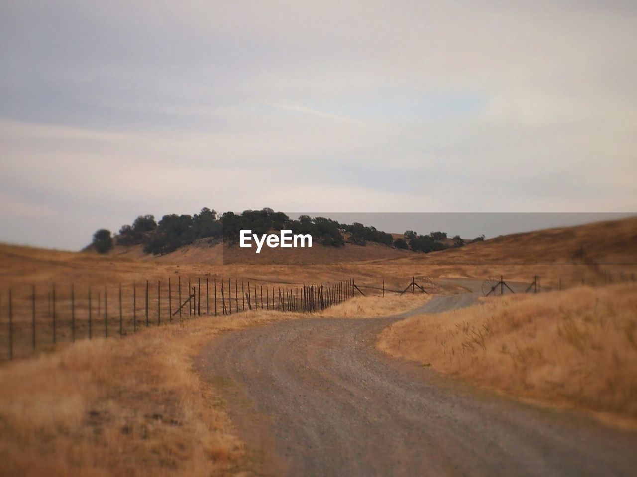 Street amidst field against sky