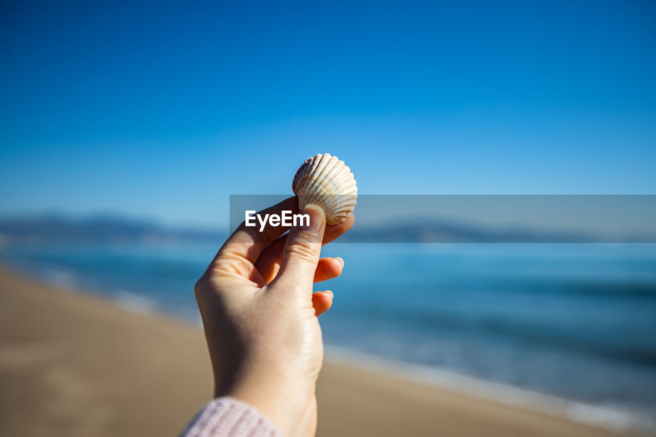 CLOSE-UP OF PERSON HAND HOLDING SEASHELL ON BEACH