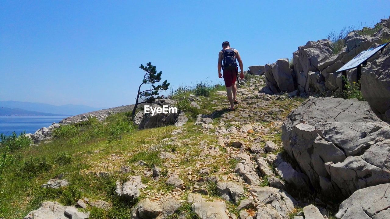 Rear view of man walking on mountain against clear sky