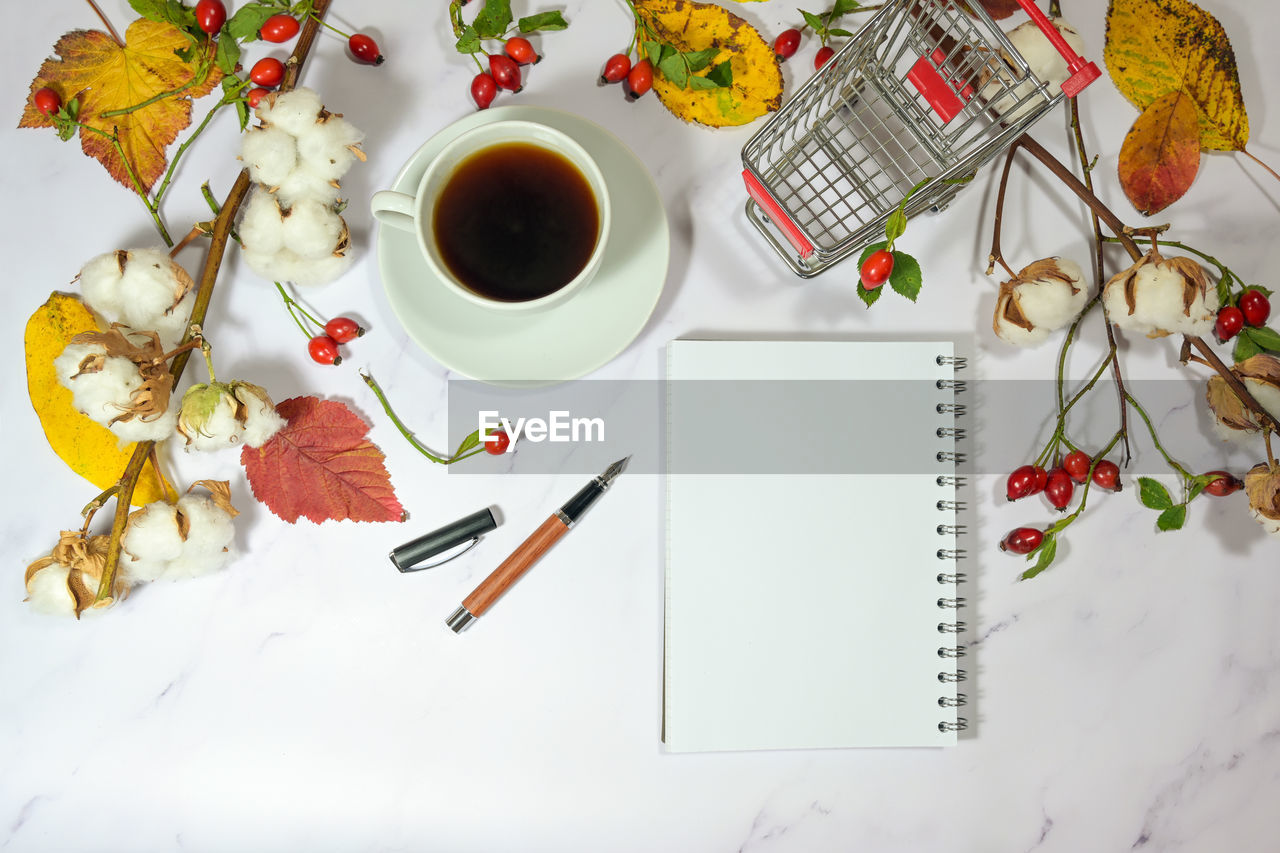 cup, food and drink, mug, drink, table, paper, high angle view, coffee, coffee cup, directly above, art, flower, flowering plant, pen, indoors, no people, food, plant, fruit, refreshment, nature, creativity, pencil, still life, hot drink, tea, book, publication, healthy eating, furniture, freshness