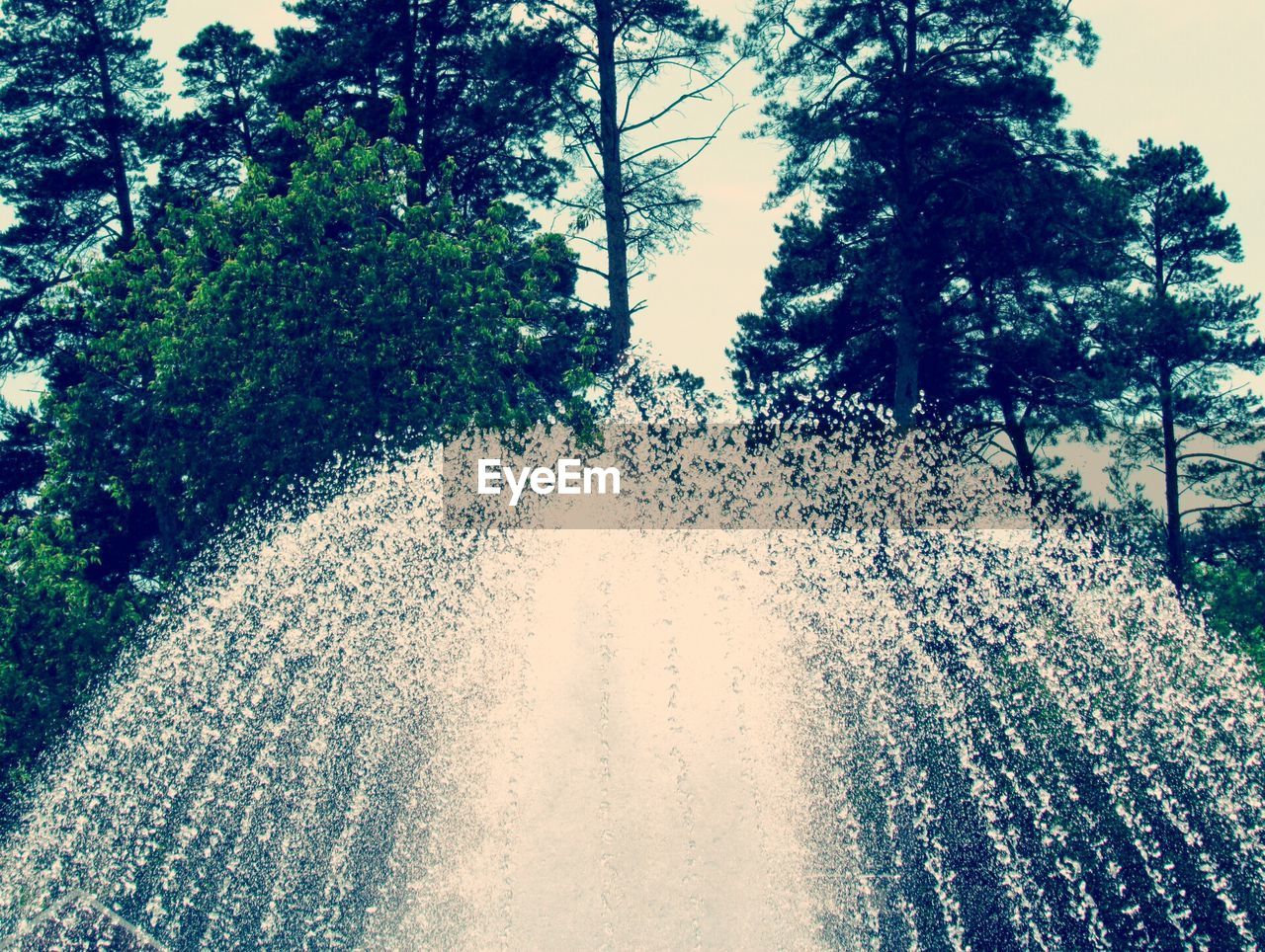 Fountain against trees at park