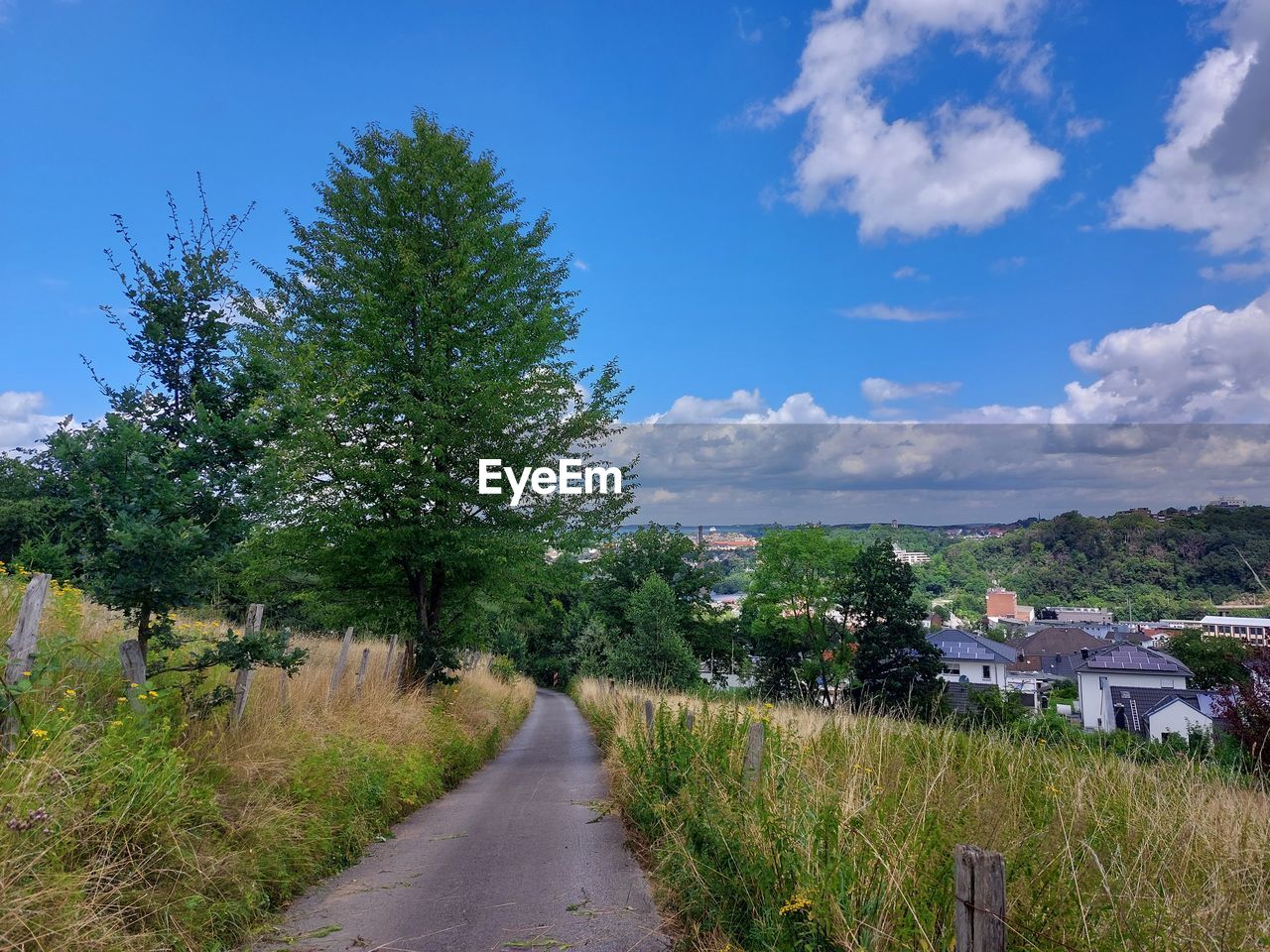 Road amidst trees and buildings against sky