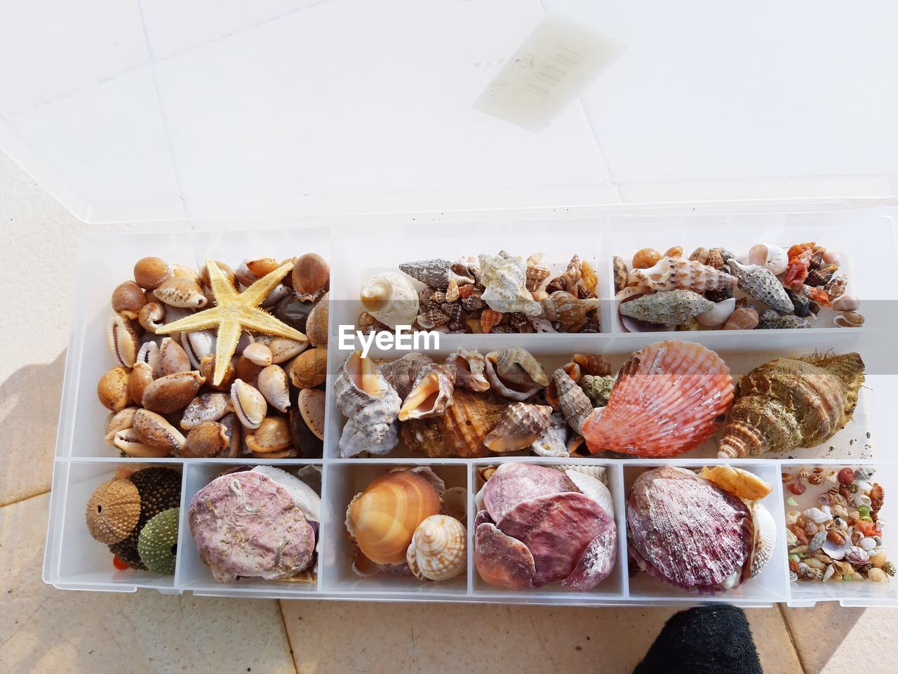 HIGH ANGLE VIEW OF VEGETABLES ON TABLE IN KITCHEN