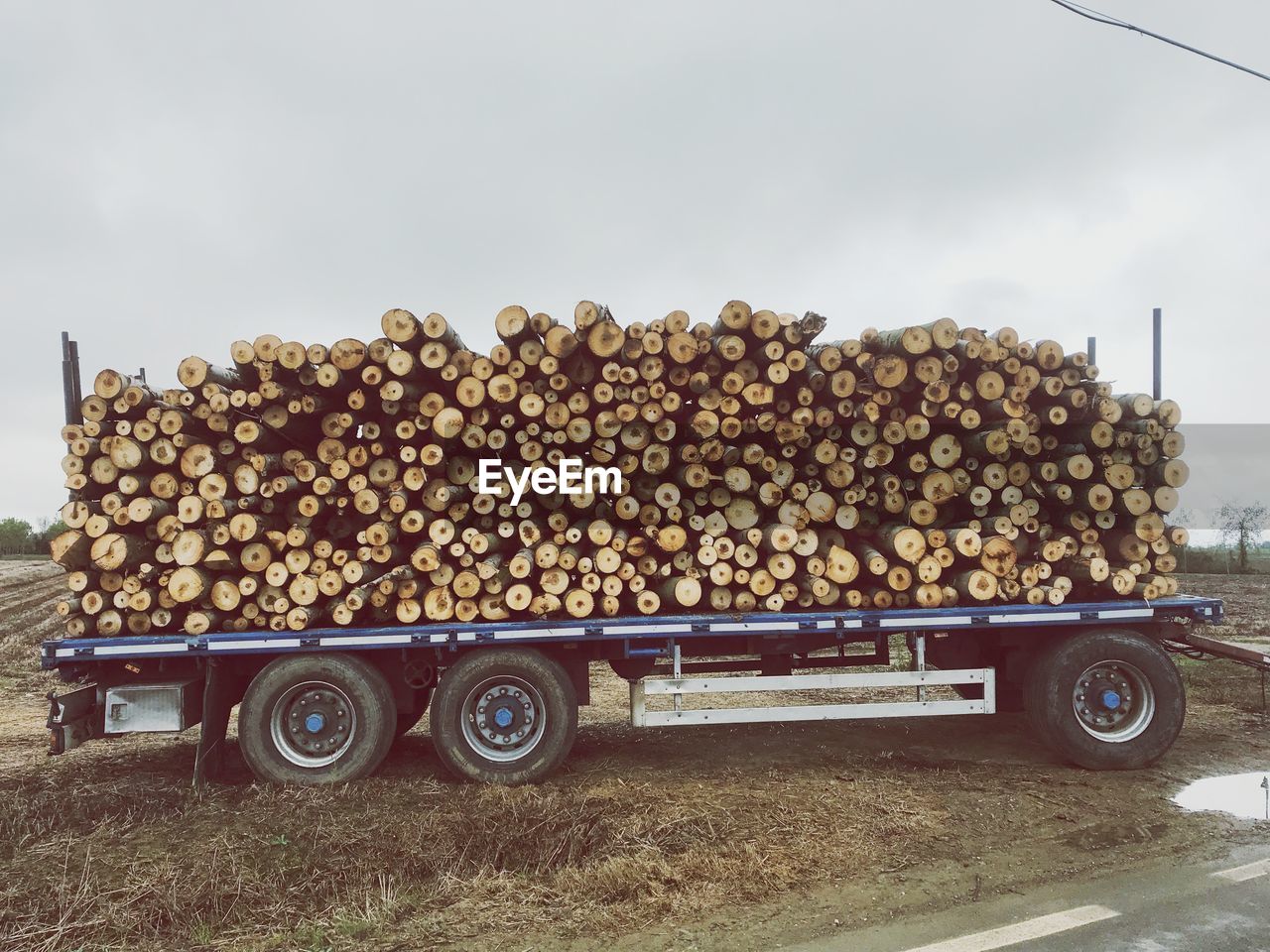 STACK OF LOGS AGAINST THE SKY WITH LOG