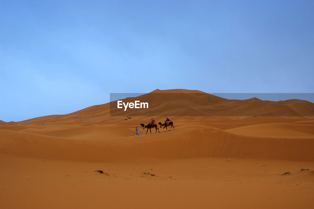 SCENIC VIEW OF SAND DUNE AGAINST CLEAR SKY