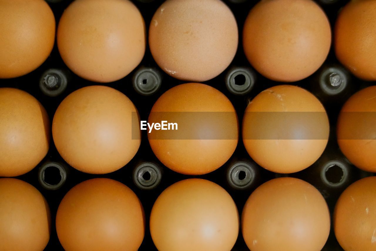 Full frame shot of eggs in carton