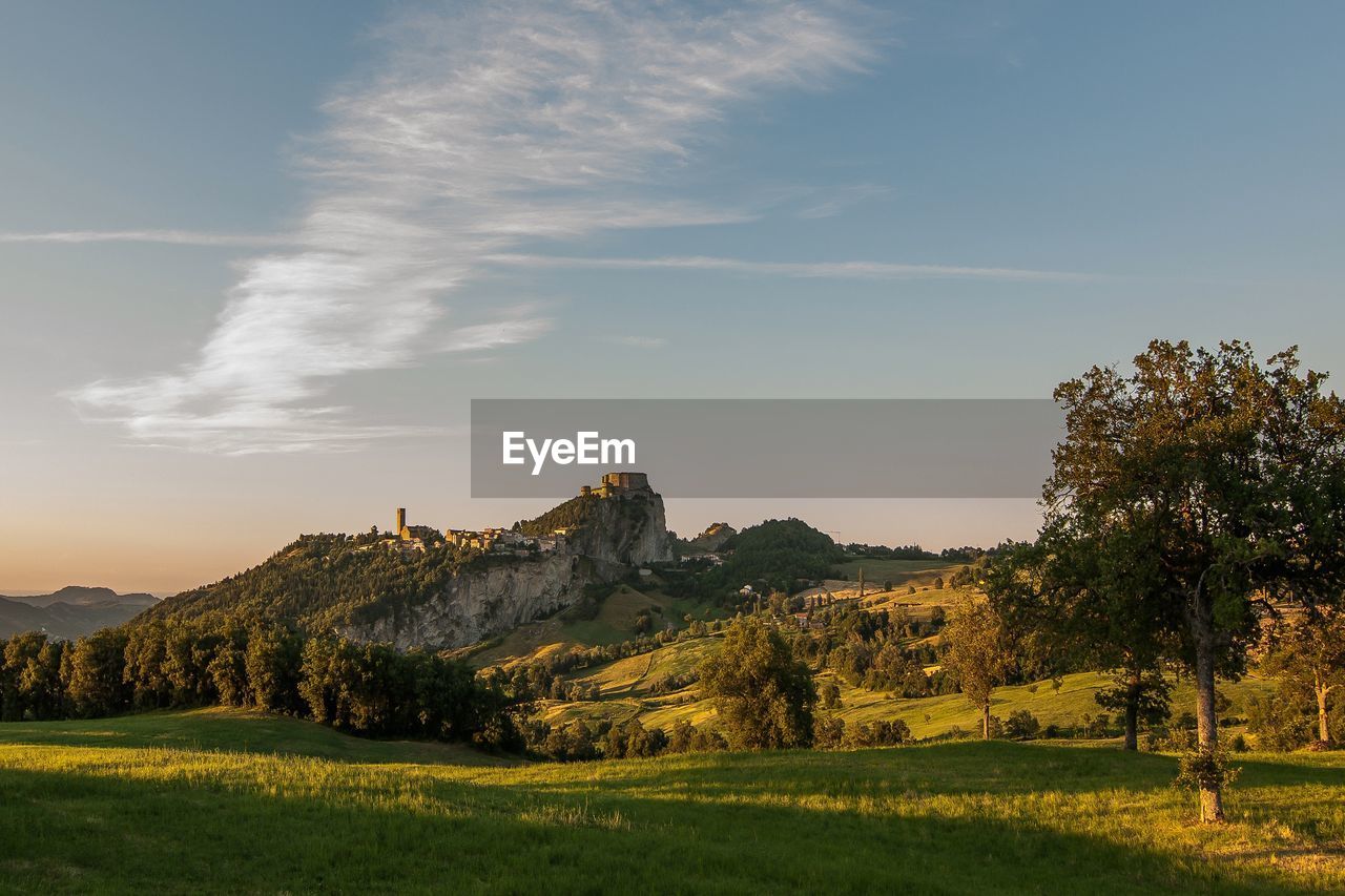 Scenic view of field against sky