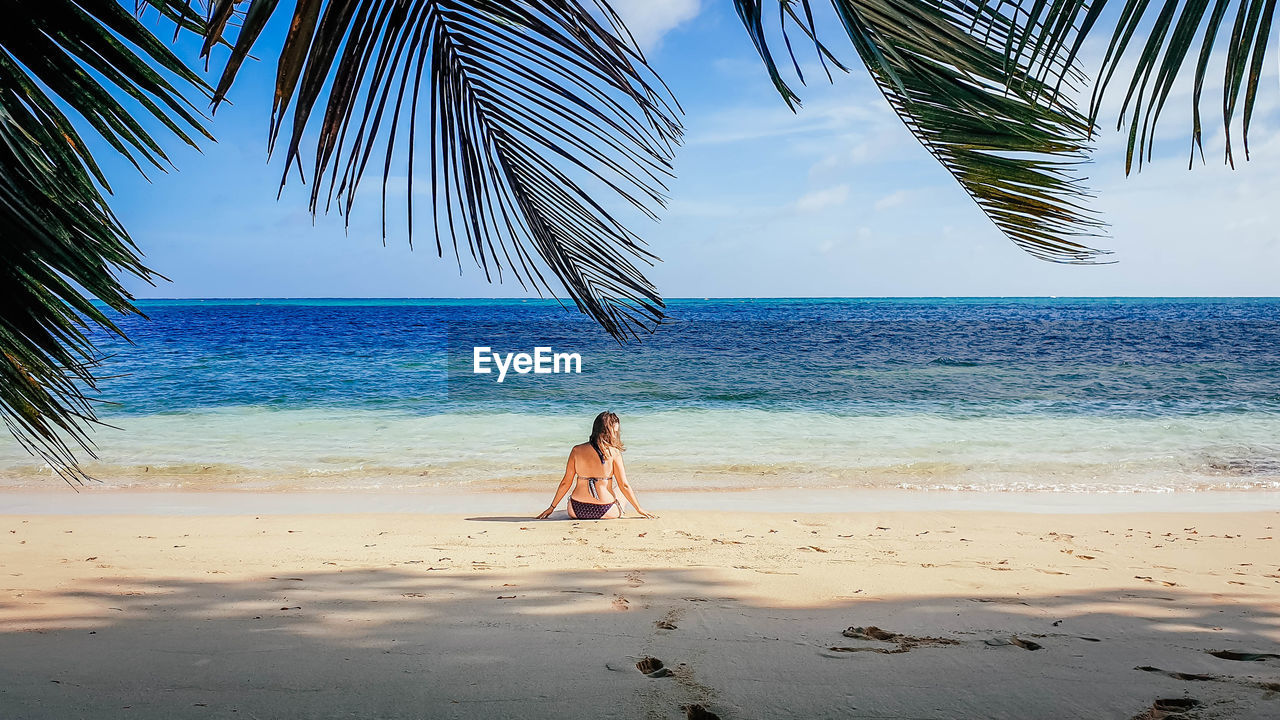 Woman from behind on sandy beach. one person, tropical, sea, beach.